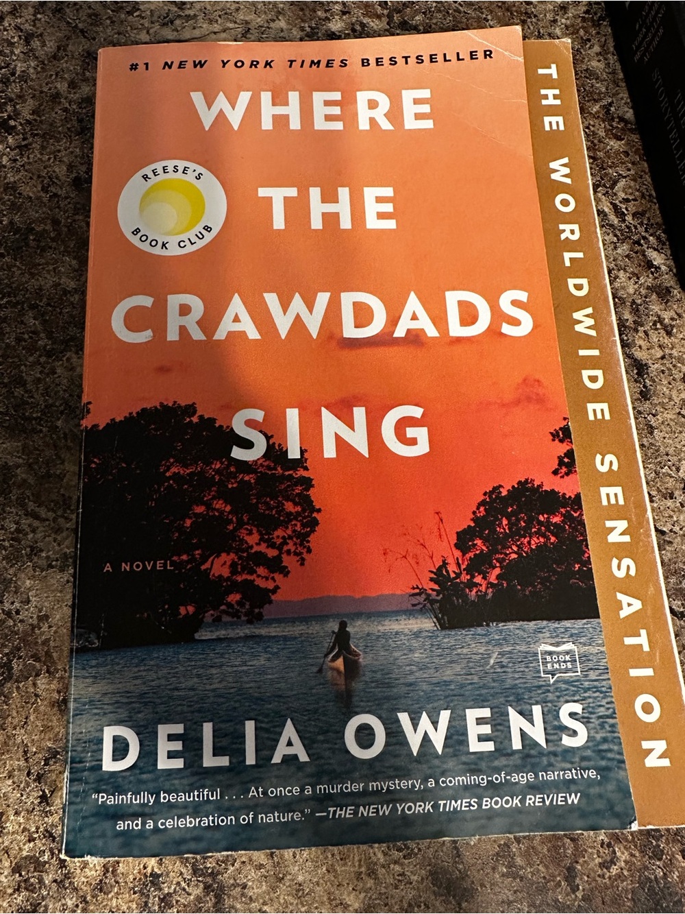 Where the Crawdads Sing - Orange/Blue Cover by